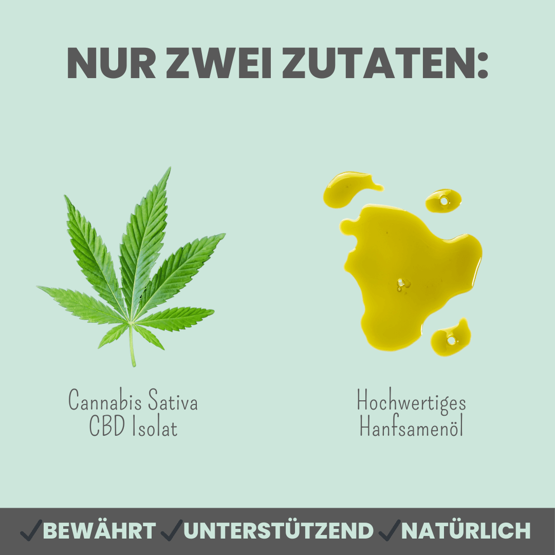 10% CBD Tropfen für Hunde