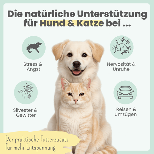 Wohlfühlmix für Hunde & Katzen