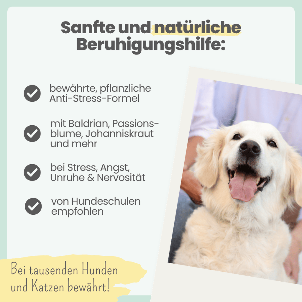 Wohlfühlmix für Hunde & Katzen