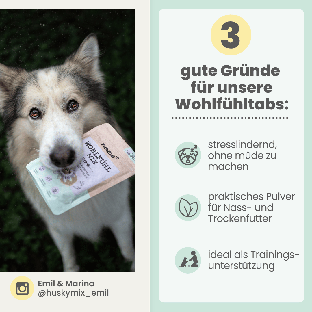 Wohlfühlmix für Hunde & Katzen