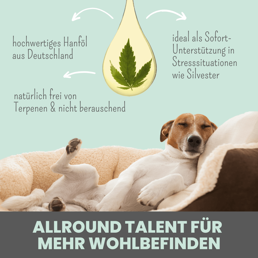 10% CBD Tropfen für Hunde