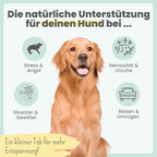 Wohlfühltabs für Hunde & Katzen