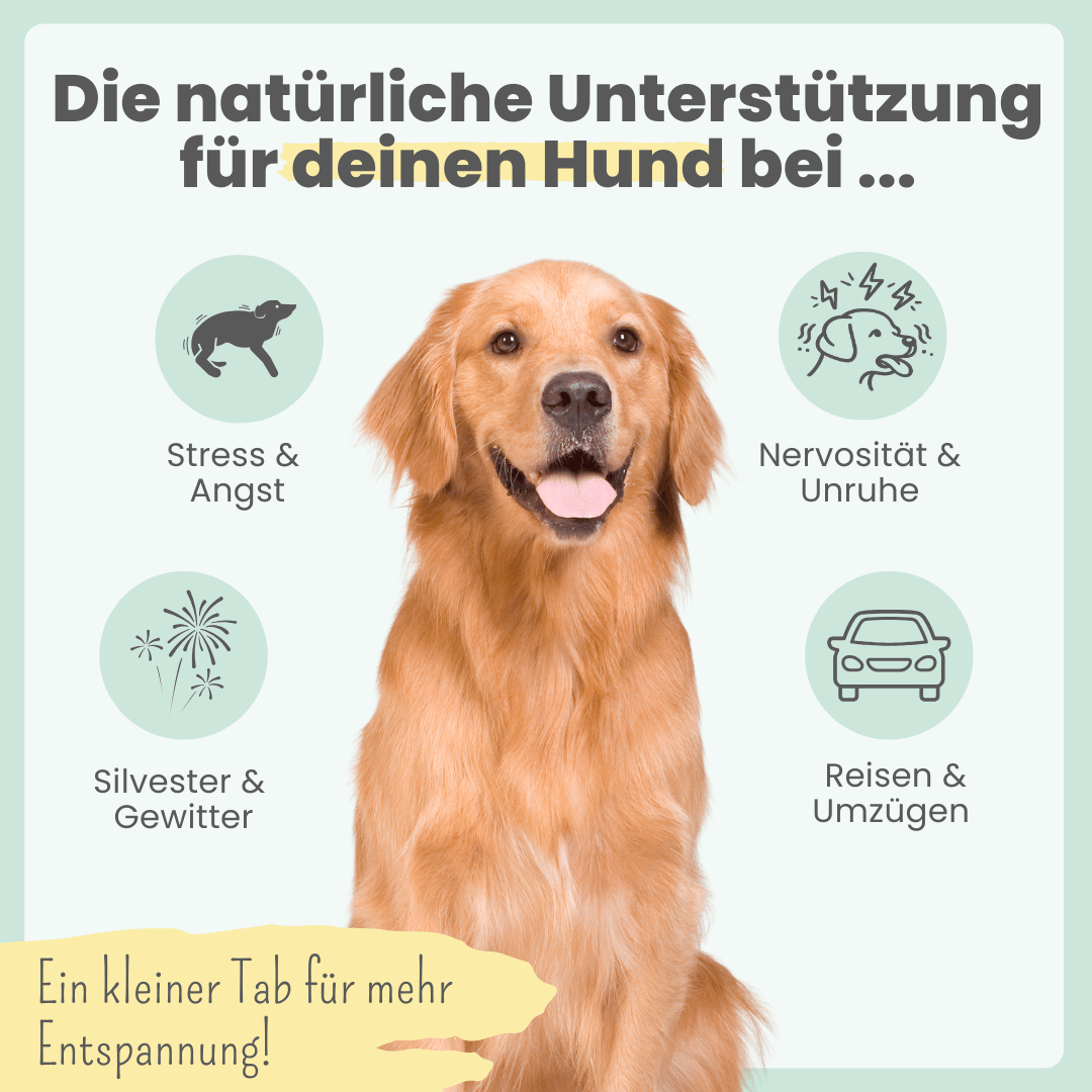 Wohlfühltabs für Hunde & Katzen
