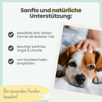 Wohlfühltabs für Hunde & Katzen