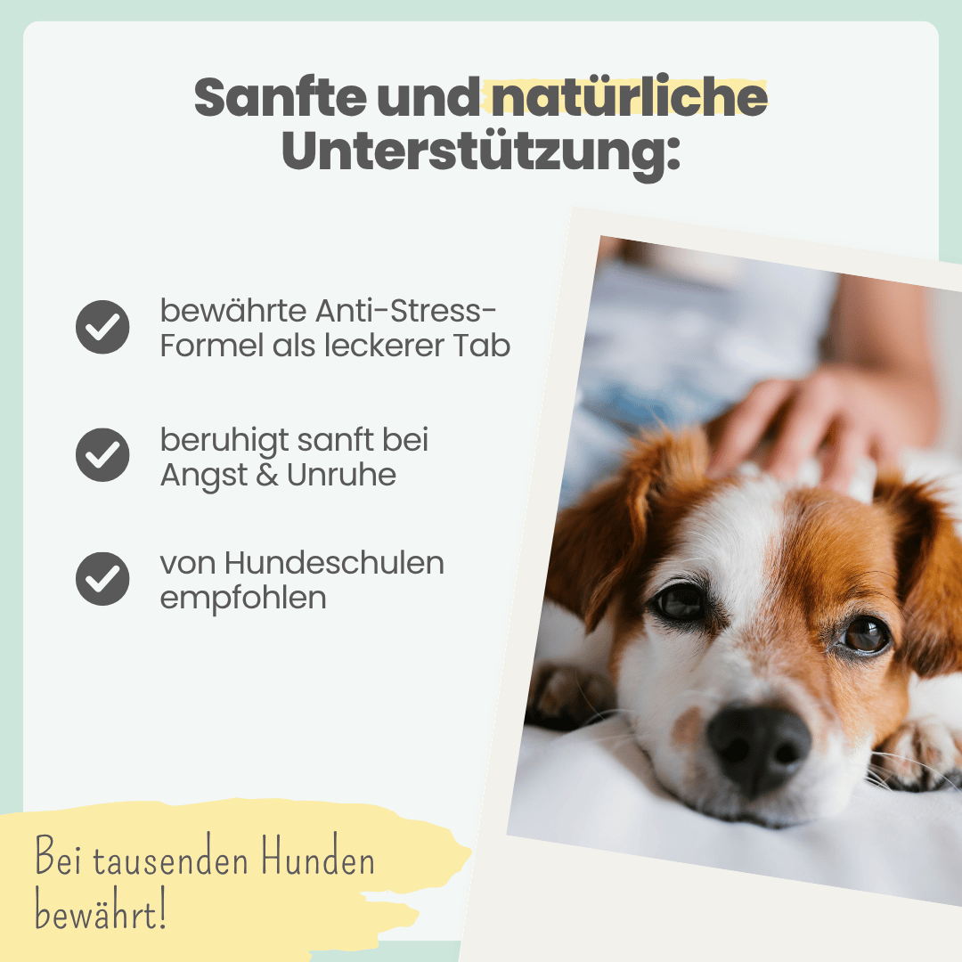 Wohlfühltabs für Hunde & Katzen