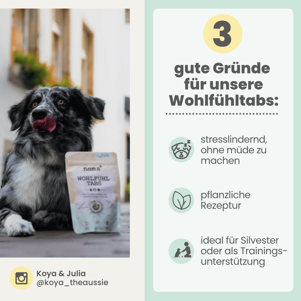 Wohlfühltabs für Hunde & Katzen