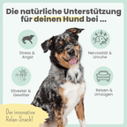 Wohlfühlsnacks für Hunde