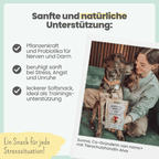 Wohlfühlsnacks für Hunde