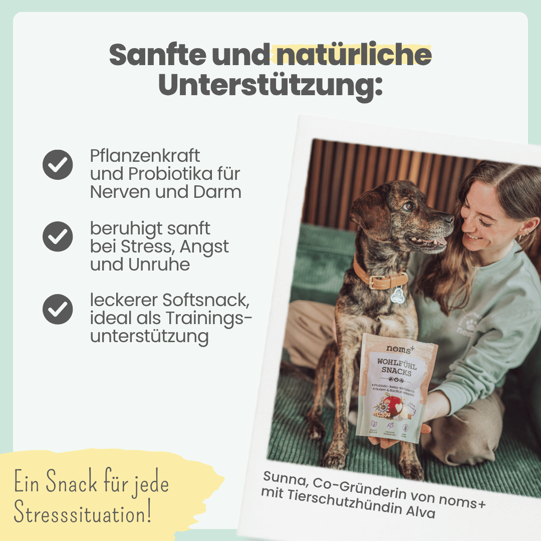 Wohlfühlsnacks für Hunde