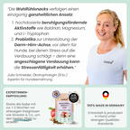 Wohlfühlsnacks für Hunde