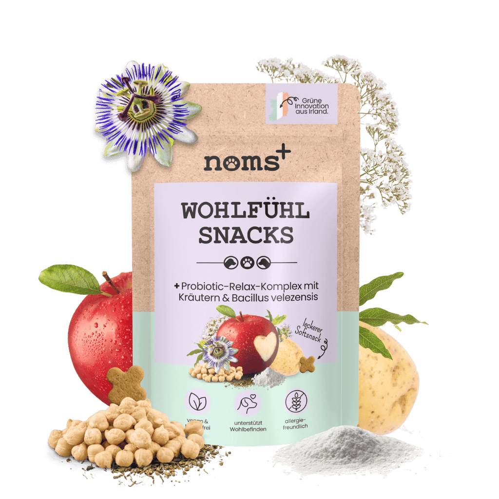 Wohlfühlsnacks für Hunde
