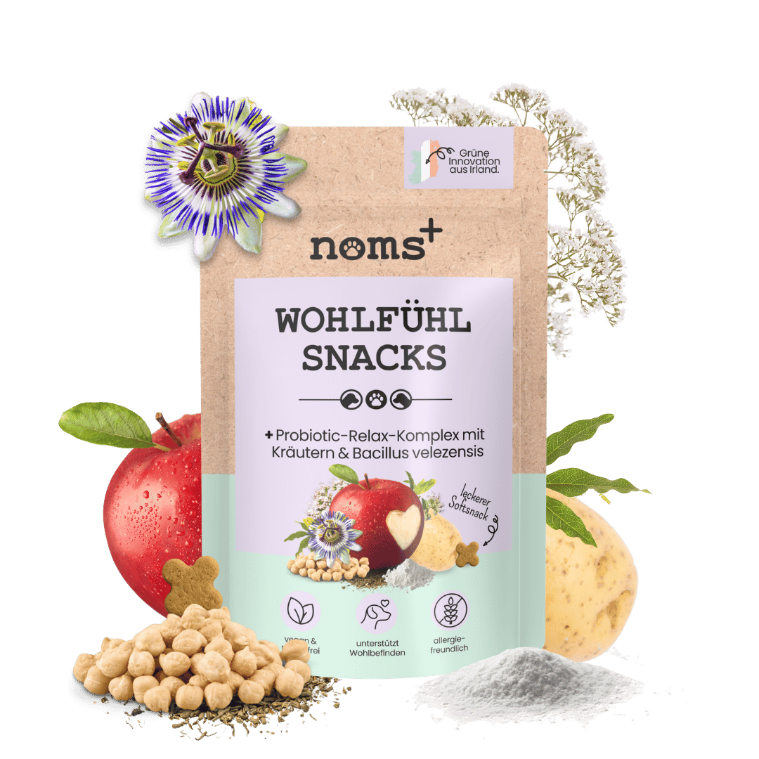 Wohlfühlsnacks für Hunde