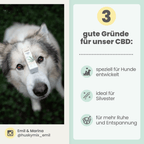 10% CBD Tropfen für Hunde