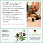 10% CBD Tropfen für Hunde