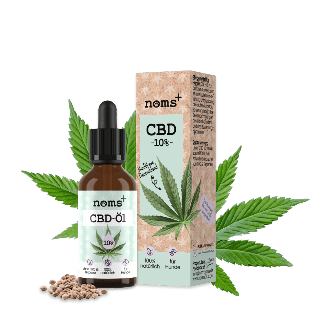 10% CBD Tropfen für Hunde