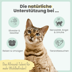 3% CBD Tropfen für Katzen und kleine Hunde