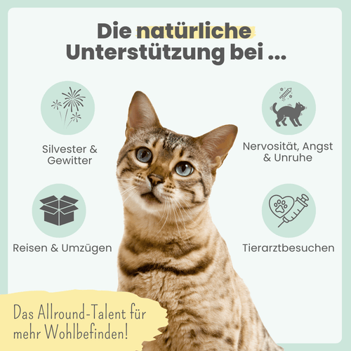 3% CBD Tropfen für Katzen und kleine Hunde