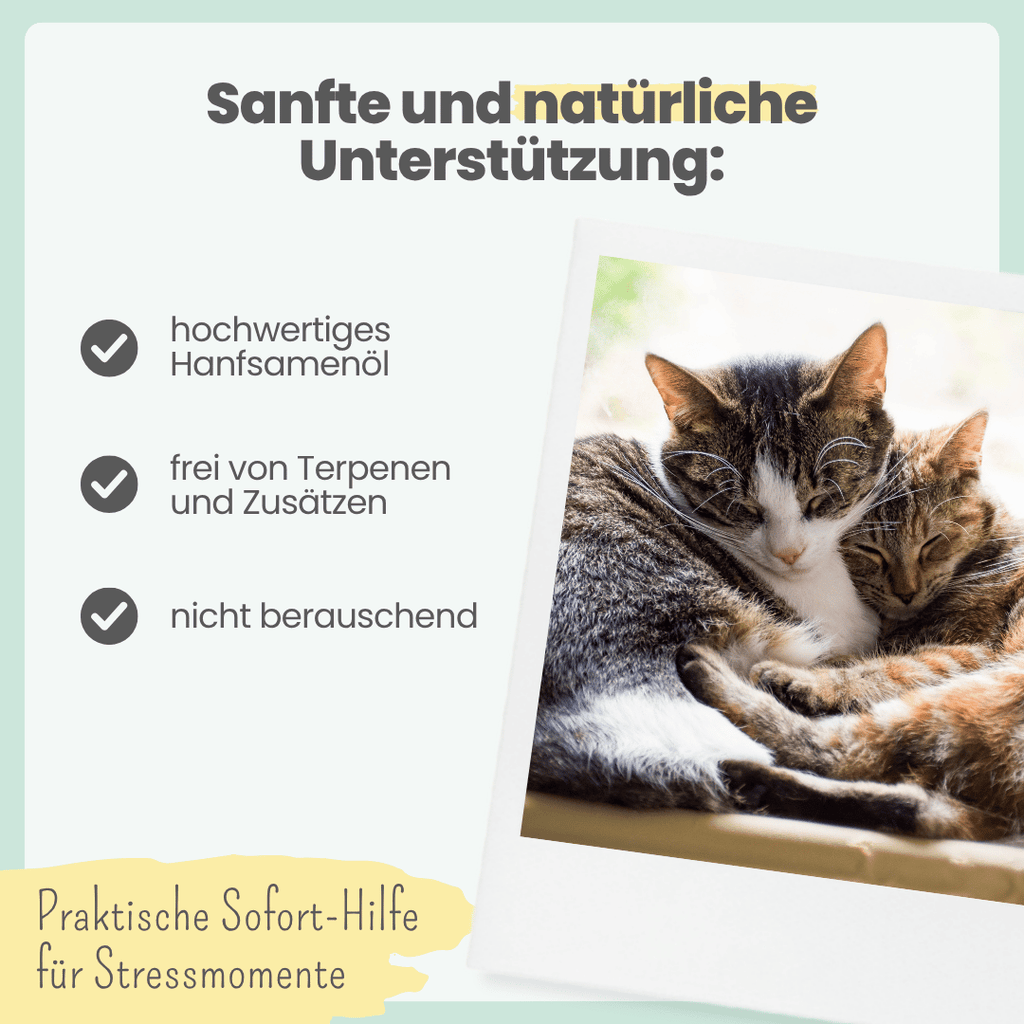 3% CBD Tropfen für Katzen und kleine Hunde