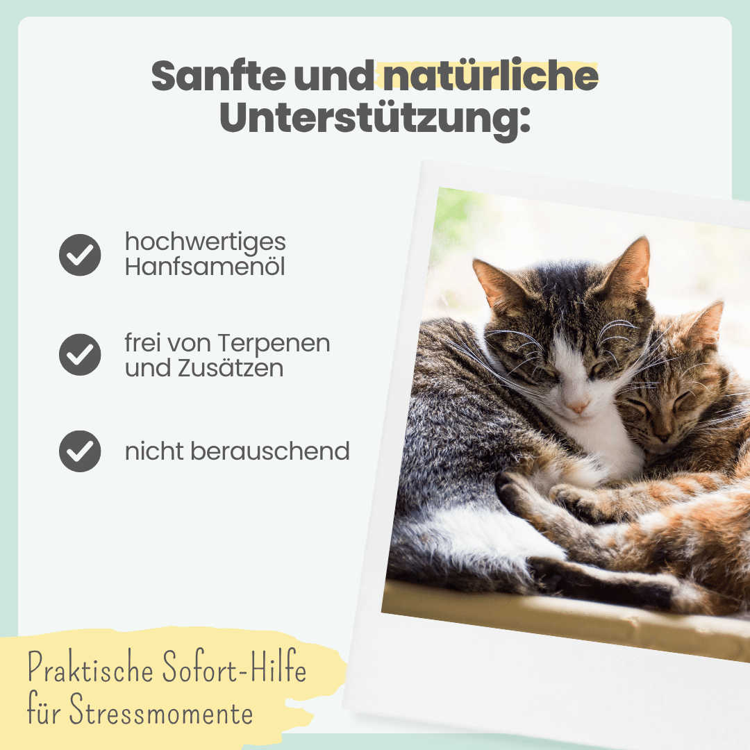 3% CBD Tropfen für Katzen und kleine Hunde