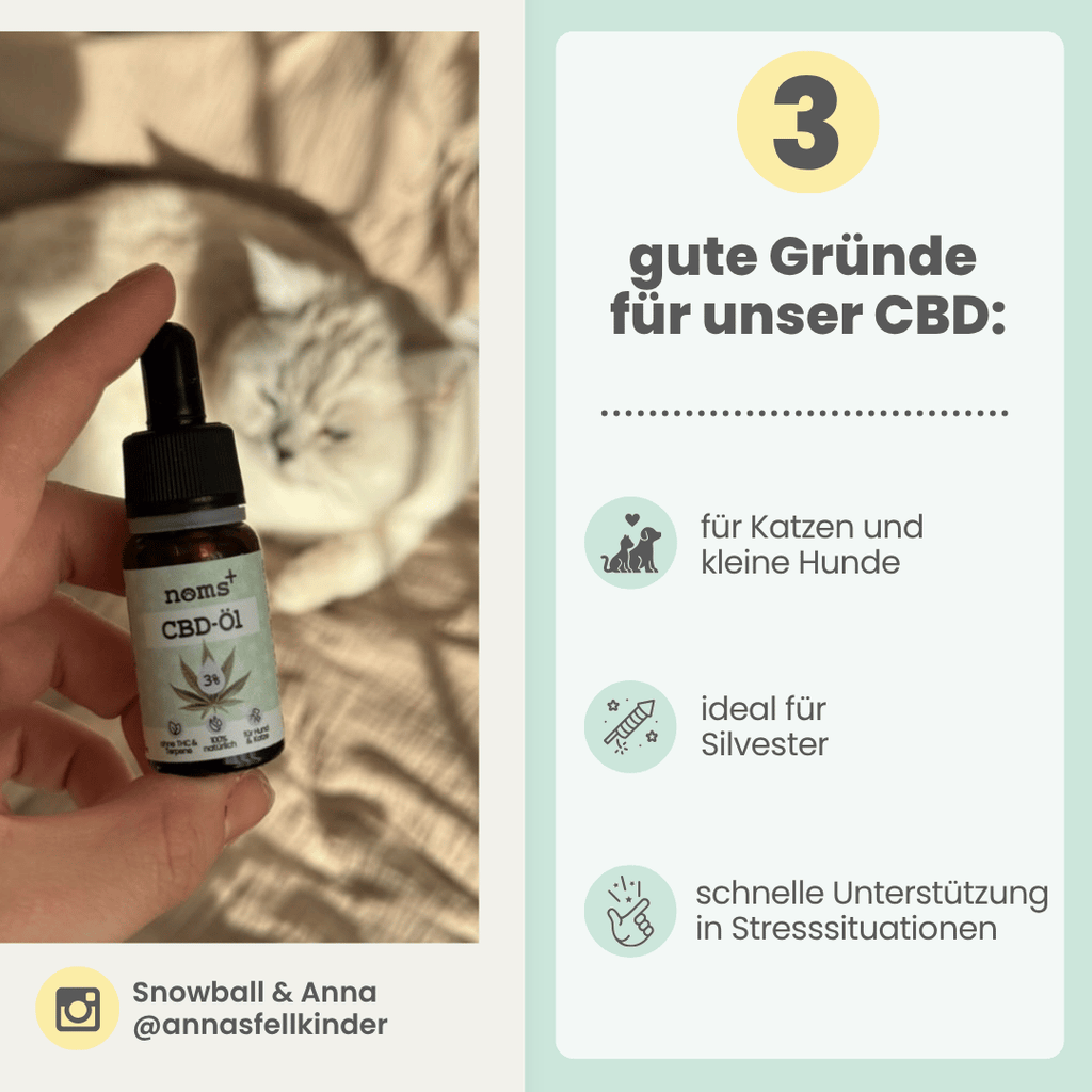 3% CBD Tropfen für Katzen und kleine Hunde