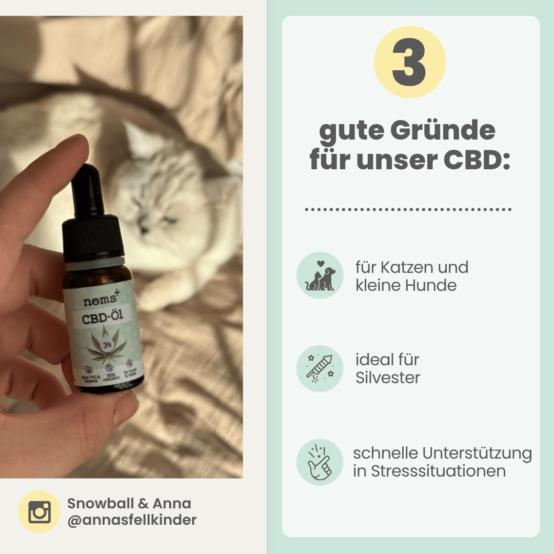 3% CBD Tropfen für Katzen und kleine Hunde