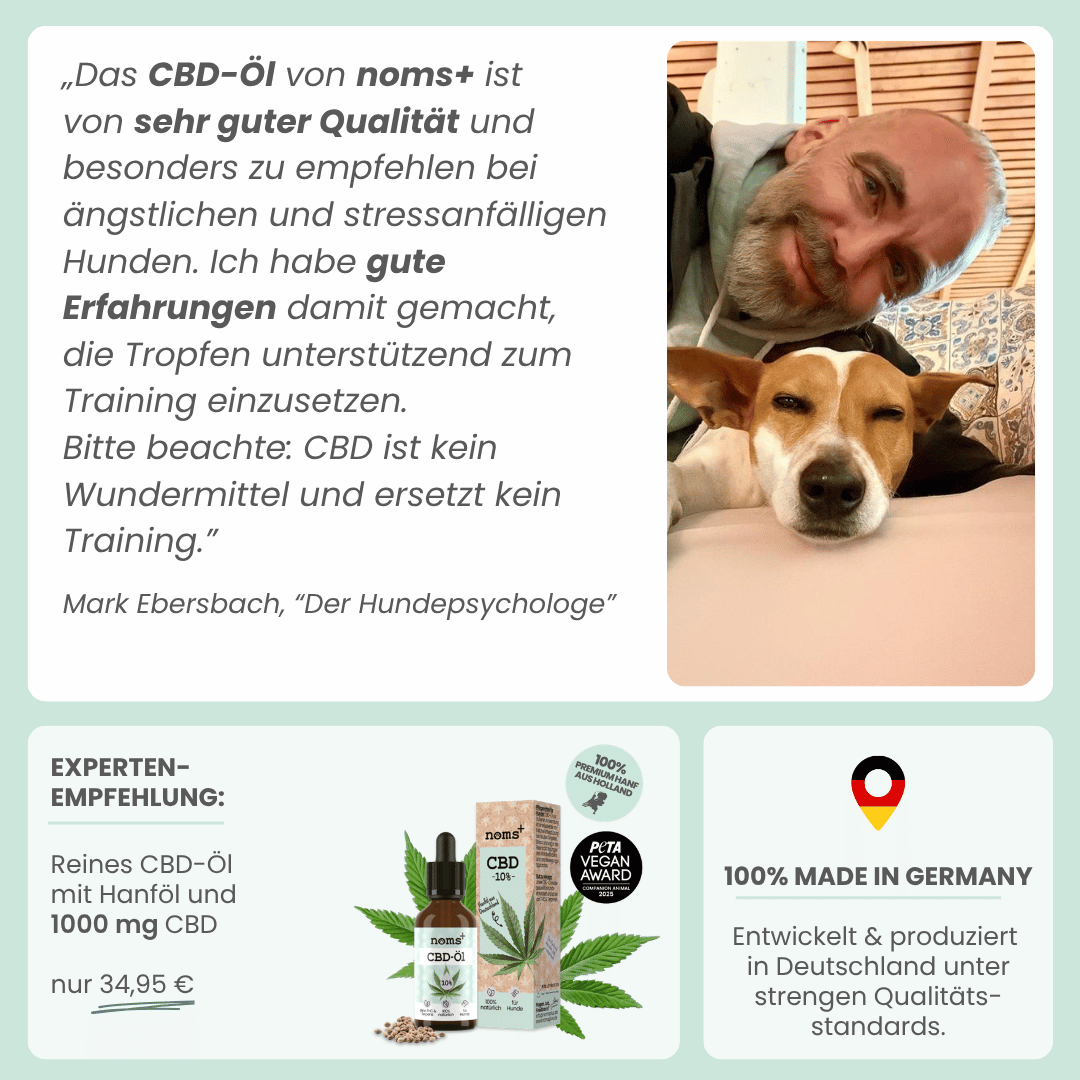 3% CBD Tropfen für Katzen und kleine Hunde