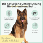 15% CBD Öl für Hunde