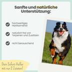 15% CBD Öl für Hunde