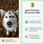 15% CBD Öl für Hunde